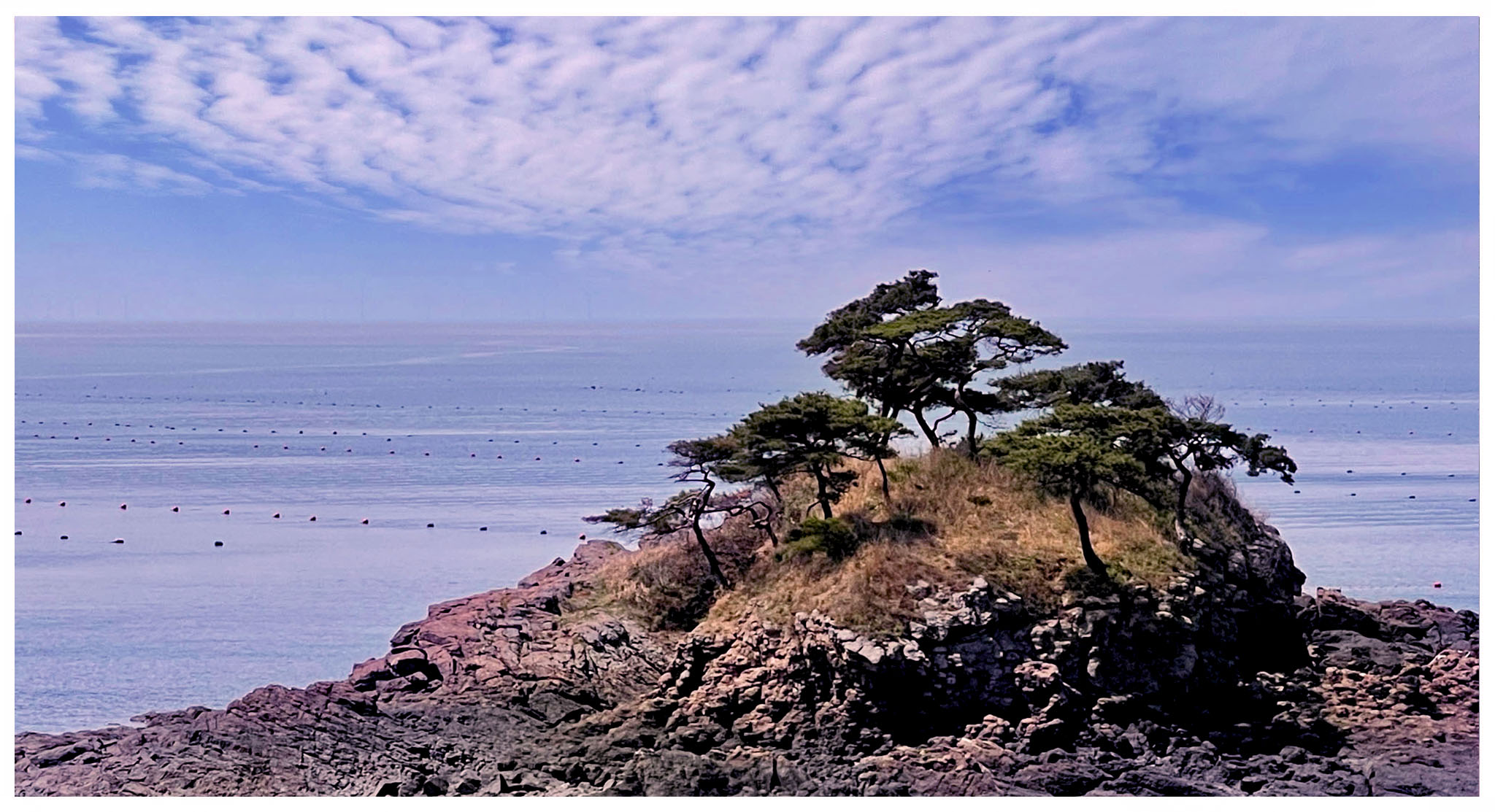 �����̹���6