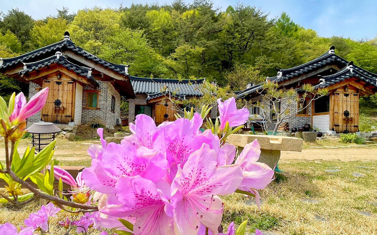 �����̹���1