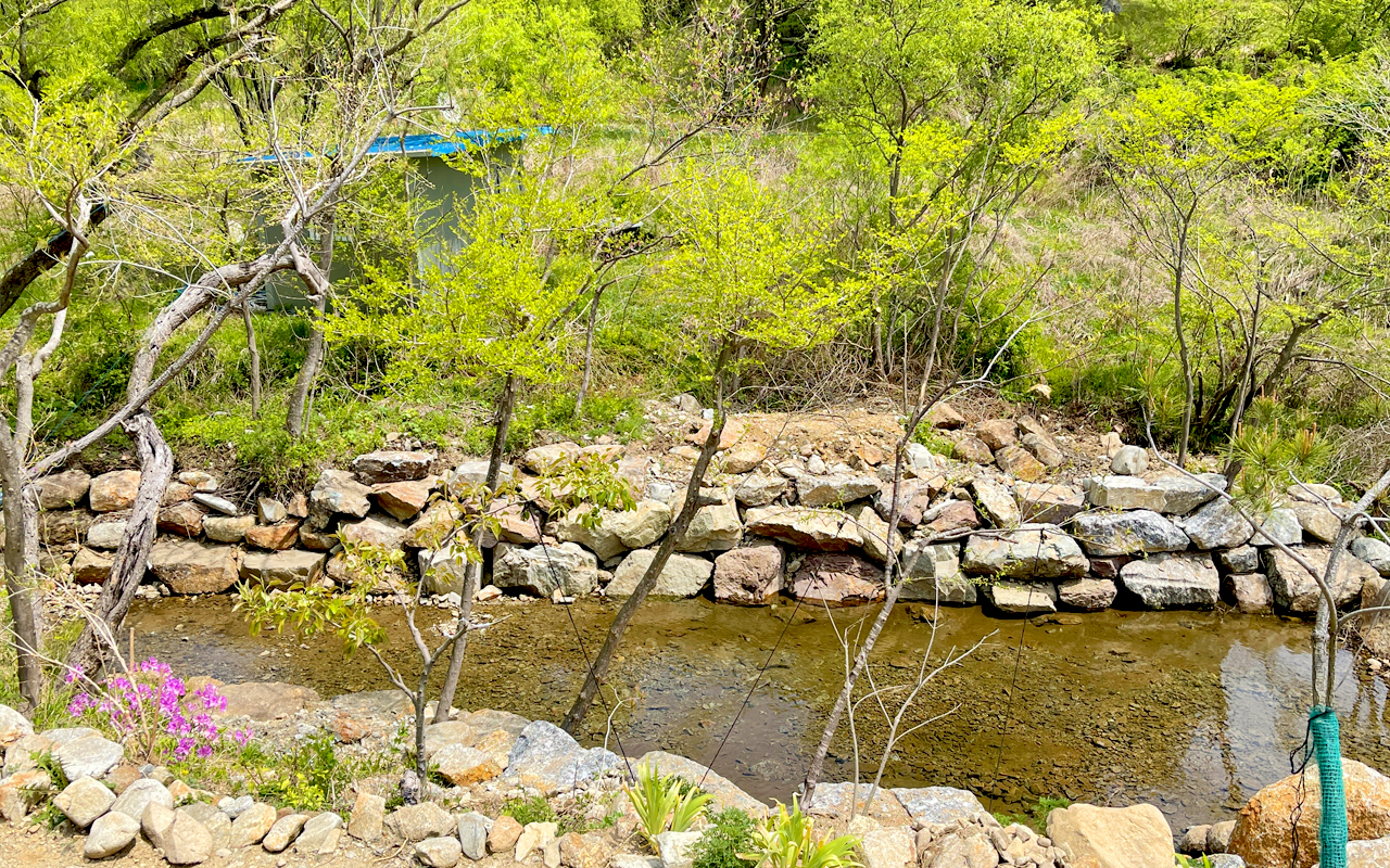 �����̹���2