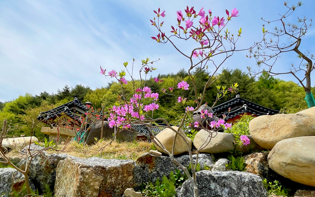 �����̹���3