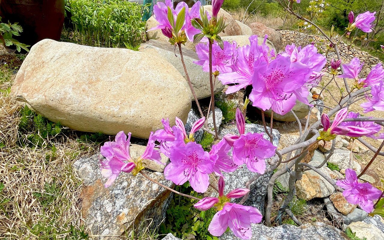 �����̹���5