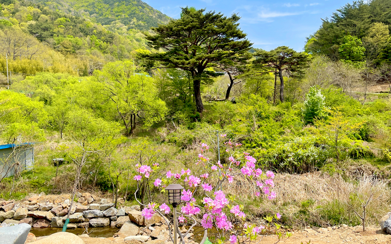 �����̹���6